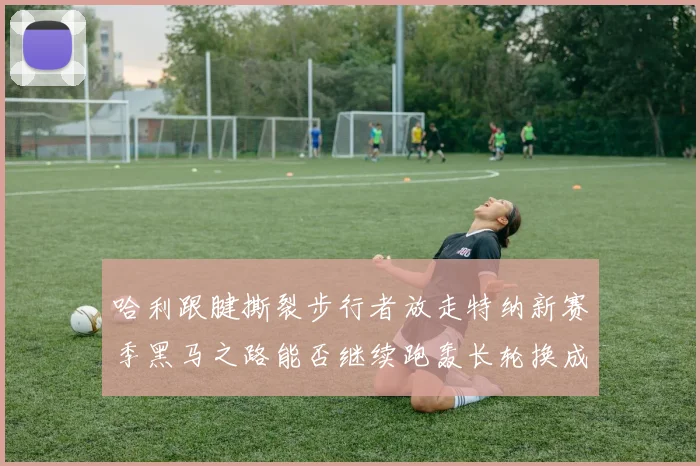 哈利跟腱撕裂步行者放走特纳新赛季黑马之路能否继续跑轰长轮换成关键