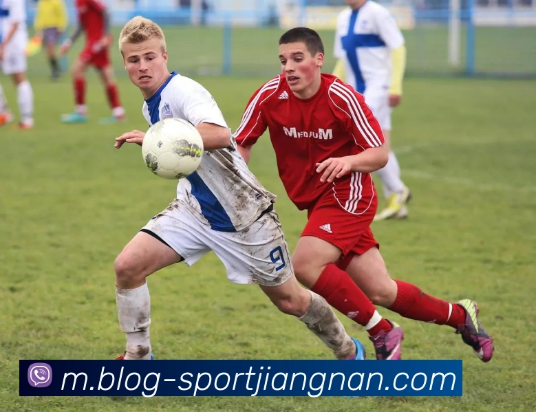 江南体育平台生态图