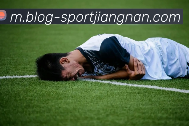 江南体育APP 封面图